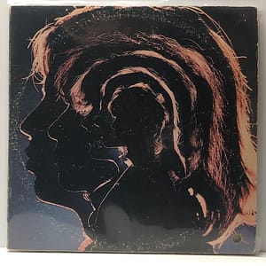 Hot Rocks (USED LP)