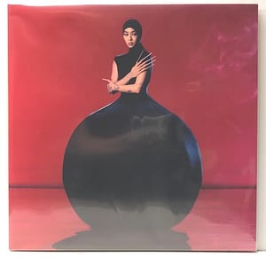 Hold the Girl (USED LP)