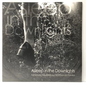 Asleep in the Downlights (USED LP)