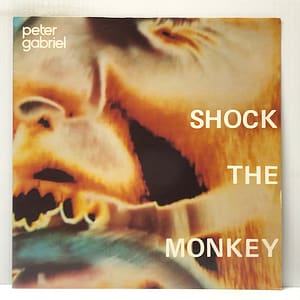 Shock the Monkey (USED LP)