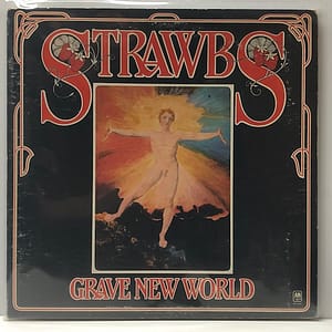 Grave New World (USED LP)