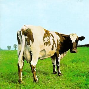 ATOM HEART MOTHER (CD)