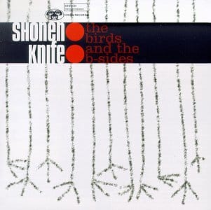 BIRDS AND THE B-SIDES (CD)
