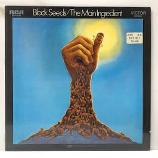 Black Seeds (USED LP)