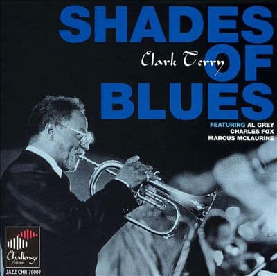 SHADES OF BLUES