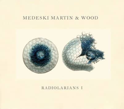 RADIOLARIANS I