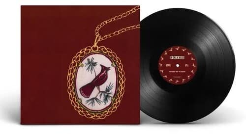 Where We've Been, Where We Go From Here (NEW LP)