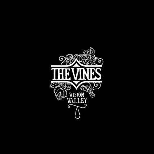 VISION VALLEY (CD)