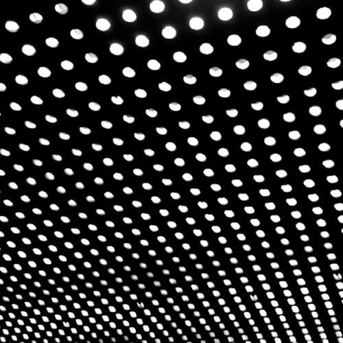 BLOOM (NEW LP)