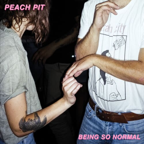 Being So Normal (NEW LP)