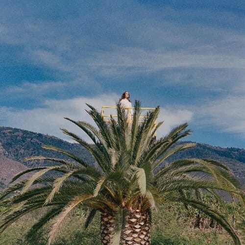Love Hallucination (NEW LP)