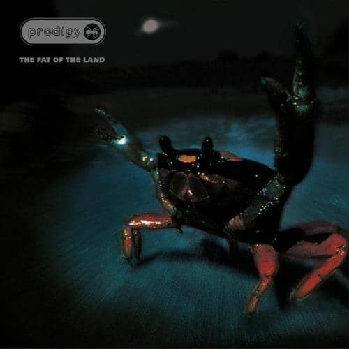 FAT OF THE LAND (NEW LP)
