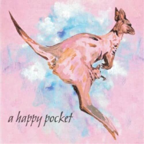 HAPPY POCKET (MD) (NEW LP)