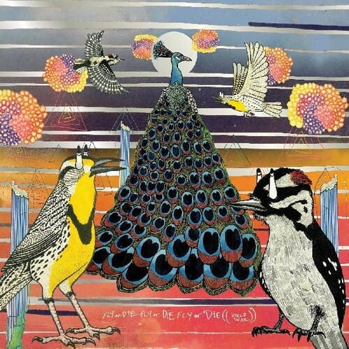 Fly Or Die Fly Or Die Fly Or Die (NEW LP)