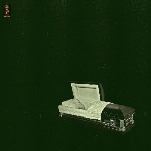 Raw And Disfigured (NEW LP) (MD)