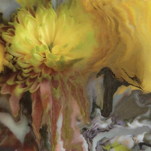 Wilderness Within You (CD)
