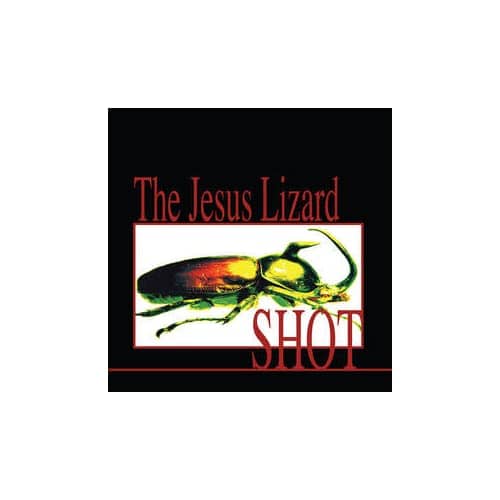 SHOT (NEW LP) (BFRSD22)