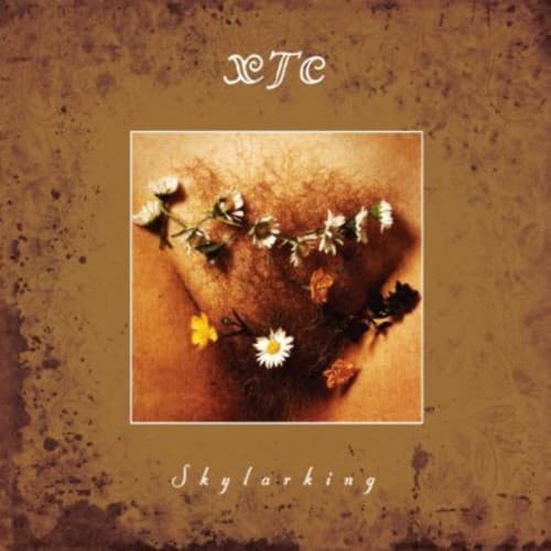 SKYLARKING (CD)