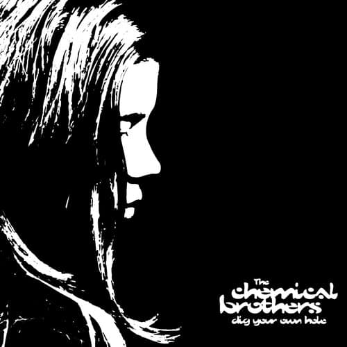 DIG YOUR OWN HOLE (NEW LP)