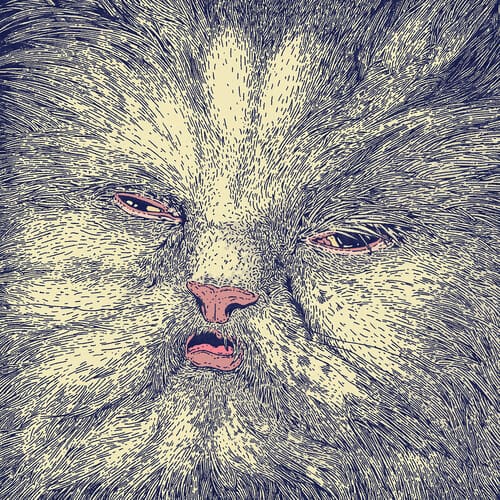 Mimi (New LP)