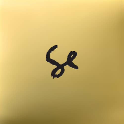 Sylvan Esso - 10 Year Anniversary Edition (New LP)