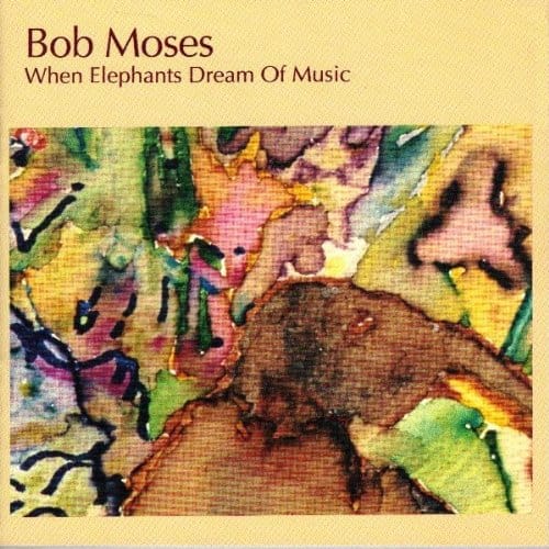 When Elephants Dream Of Music (CD)