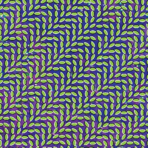 Merriweather Post Pavilion (15th Anniversary)
