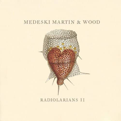 RADIOLARIANS II (CD)