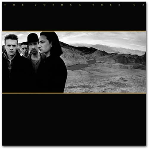 JOSHUA TREE (NEW LP)
