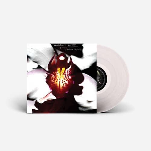 Cellophane Memories (New LP)
