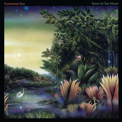 TANGO IN THE NIGHT (NEW LP)