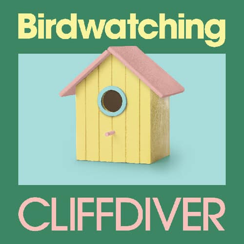 Birdwatching (NEW LP)