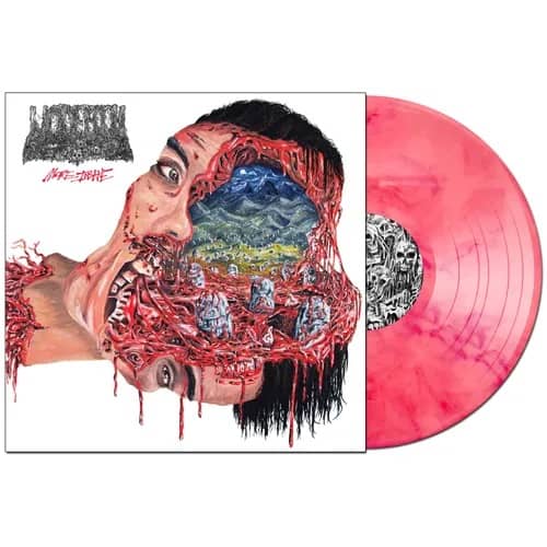 More Insane (New LP)