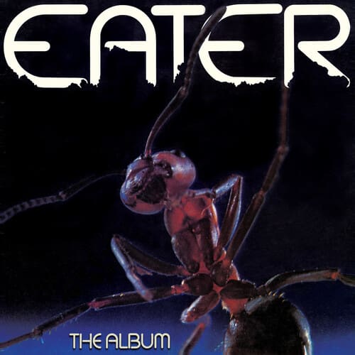 The Album (New LP)
