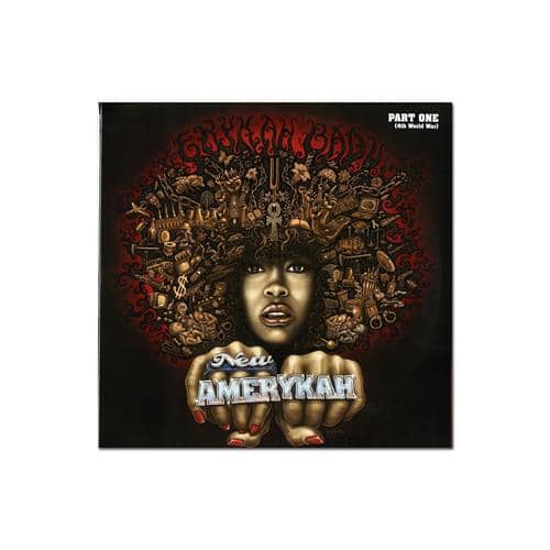 NEW AMERYKAH PART ONE (4TH WOR