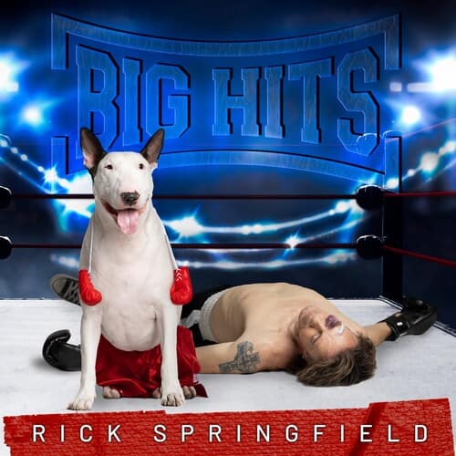Big Hits: Rick Springfield's (CD)