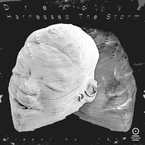 Harnessed The Storm (NEW LP)