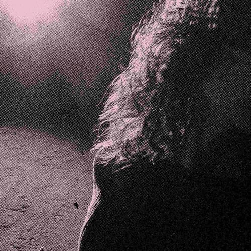 Ghostholding (New LP)