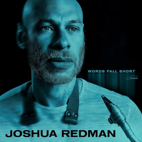 Words Fall Short (CD)
