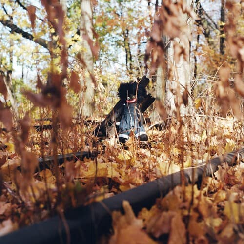 Golliwog (New LP)