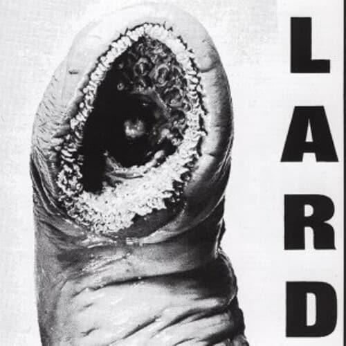 Power Of Lard (NEW LP)