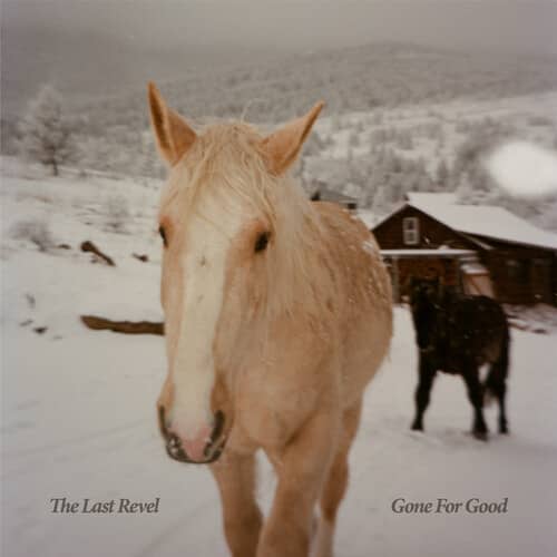 Gone For Good (CD)