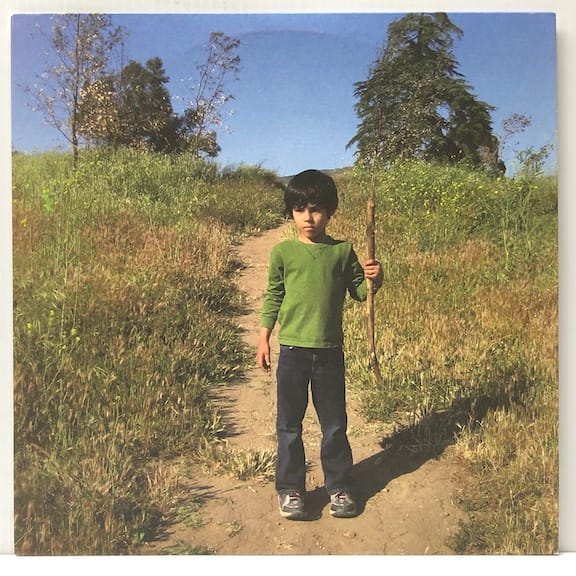 Natural Selections (USED LP)