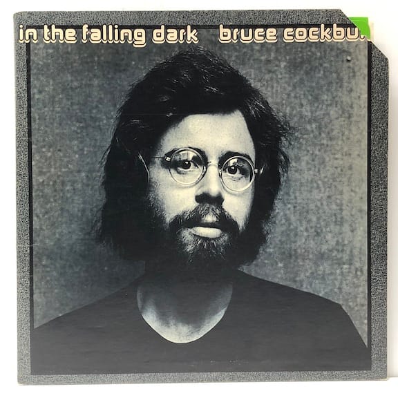 In The Falling Dark (USED LP)