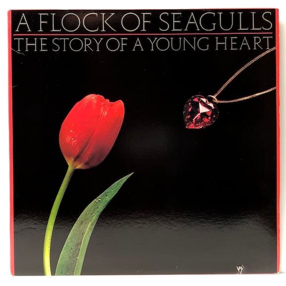 Story Of A Young Heart (USED LP)