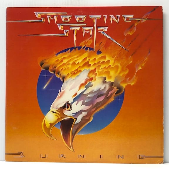 Burning (USED LP)