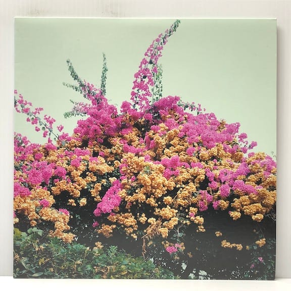 Turn Into (USED LP)