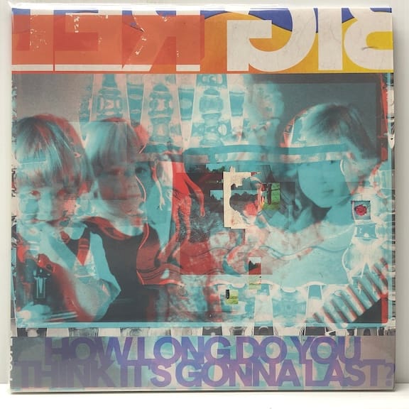 How Long Do You Think Its Gonna Last (USED LP)