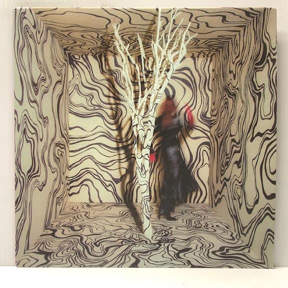 Revealer (USED LP)
