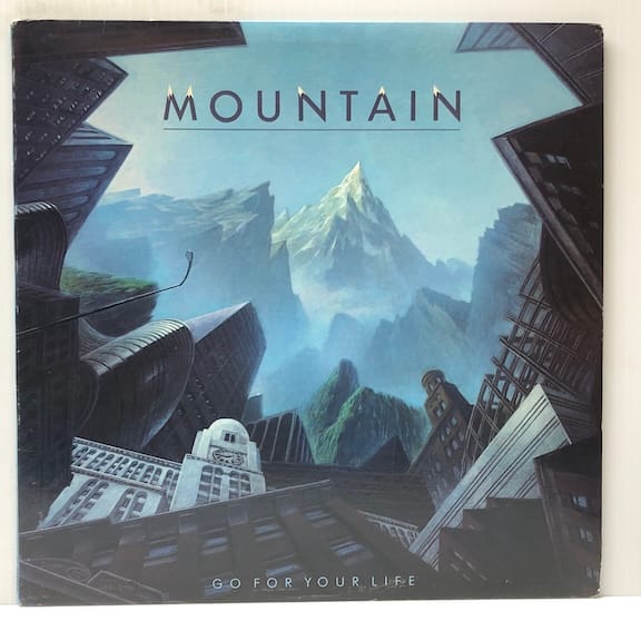 Go For Your Life (USED LP)